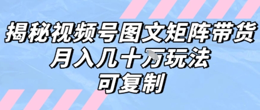 解密视频号图文矩阵带货，月入几个W的打法，可复制-U9联盟