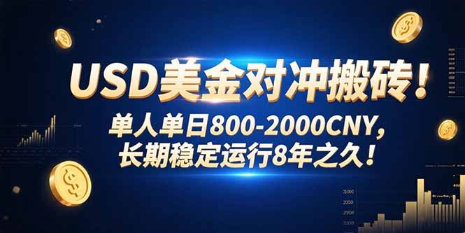USD美金对冲搬砖!单人单日800-2000CNY，长期稳定运行8年之久!-U9联盟